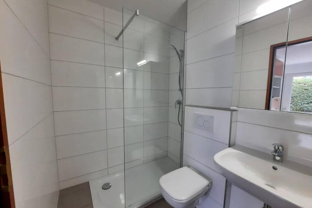 Gemuetliche Ferienwohnung Fuer 4 Gaeste In Schoenwald Schoenwald im Schwarzwald Exterior photo